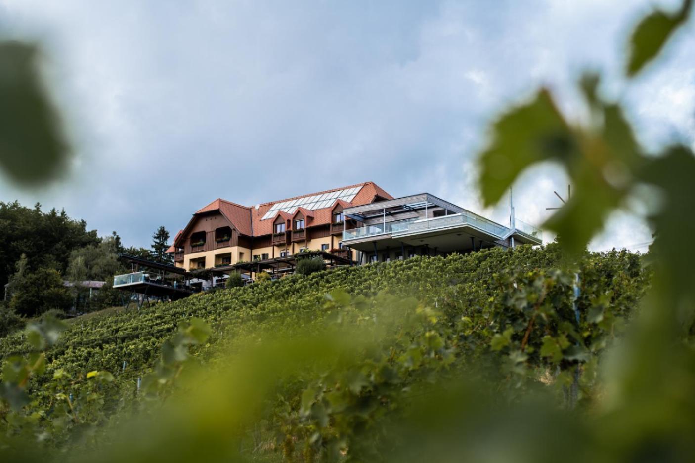 Mahorko Wein Wellness Wasserbueffel Hotel Glanz an der Weinstrasse Exterior photo