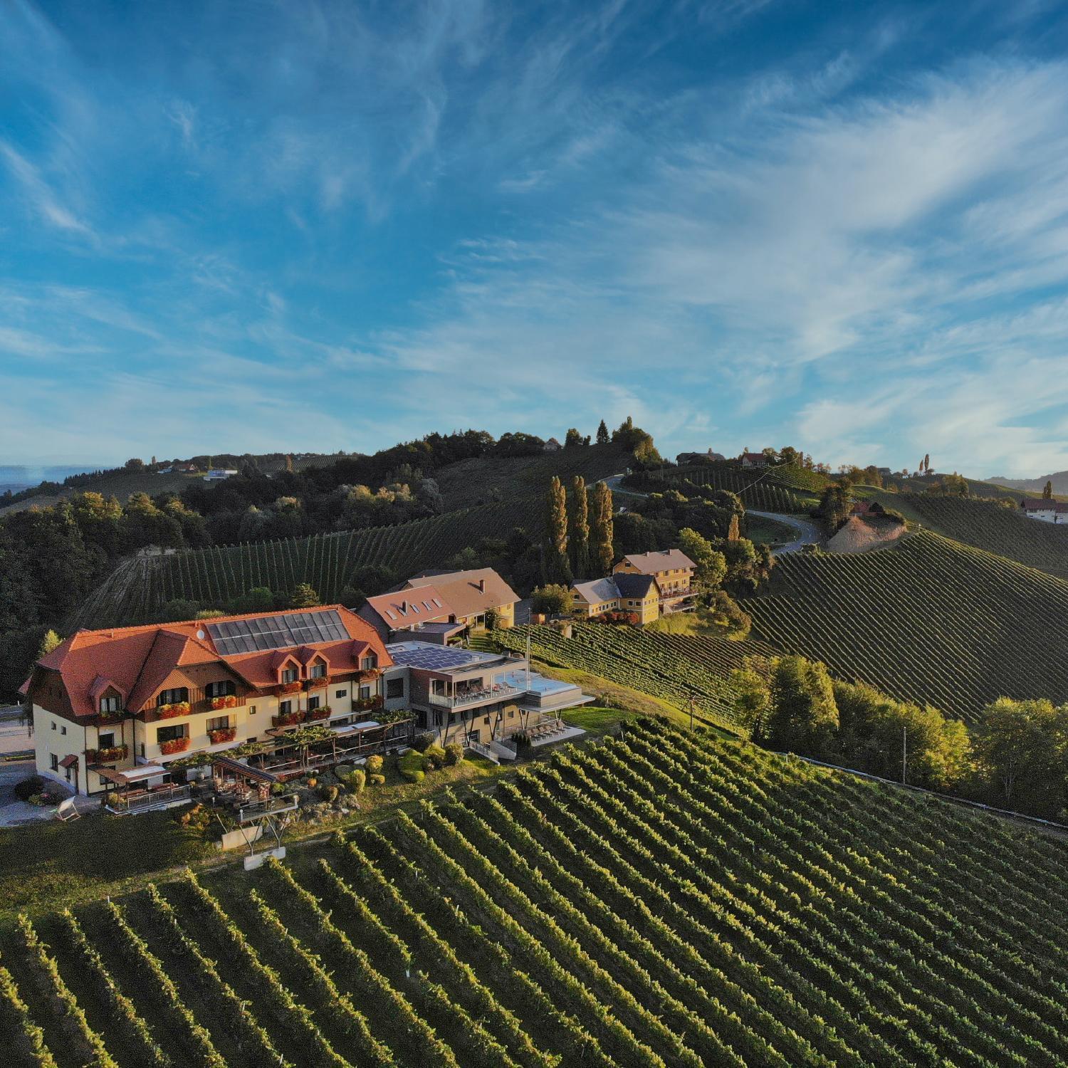 Mahorko Wein Wellness Wasserbueffel Hotel Glanz an der Weinstrasse Exterior photo