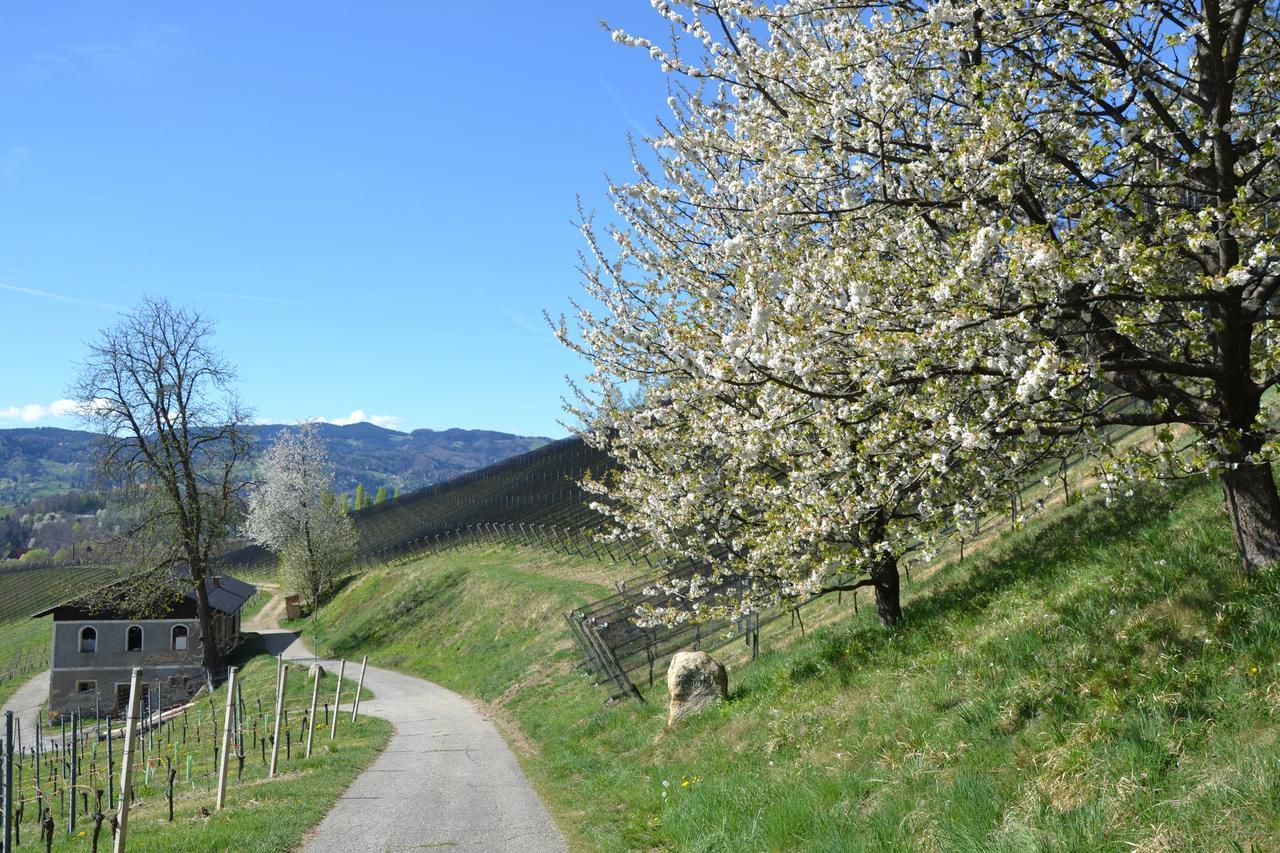 Mahorko Wein Wellness Wasserbueffel Hotel Glanz an der Weinstrasse Exterior photo